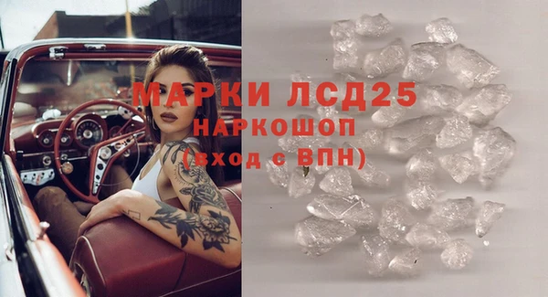 сатива Аркадак