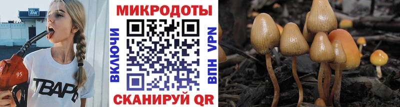 Галлюциногенные грибы GOLDEN TEACHER  blacksprut маркетплейс  Ахтубинск 